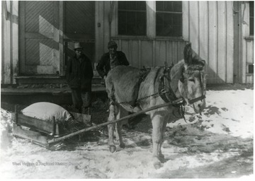 Mr. Shingleton and his donkey are at the back door loading platform of Arthurdale Store.