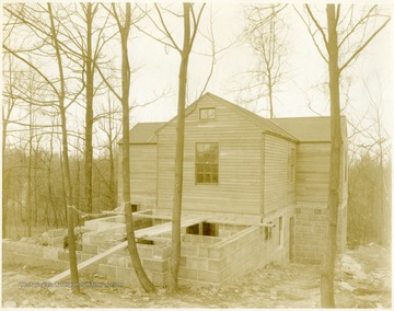 House among the trees.