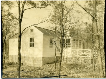 View of a white homestead house surrounded by trees.