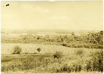 Hay sits in a field in the S. E. cove of the Arthur farm in Arthurdale.