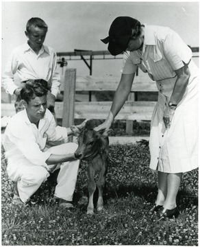 First lady Eleanor Roosevelt pets calf of prize winning cow in farmyard in Arthurdale, W. Va. ' A print from the FDR Library Collection. This print is furnished for you fil and must not be reproduced without the owner's permission. Owner: UPI (acme)'