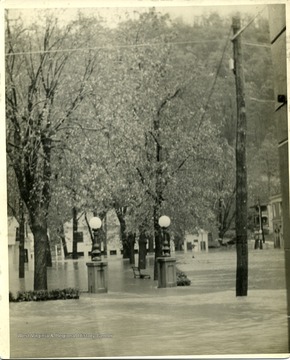 Flood water flowing through a city area with trees, a park bench, and an entrance with two globe lights.