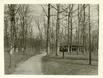 A pavillion amongst trees in the Elkins City Park.  '6 Acre Virgin Timber City Park in heart of city.'