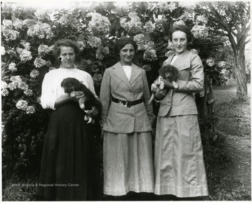 Three women standing in front of a blossoming tree while holding two puppies.  Helvetia, W. Va.  Woman on the right is Olga Aegerter Holtkamp.