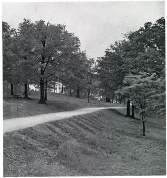 Picnic tables sit to the side of the path in an unidentified Huntington park.