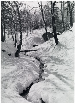 Small stream going through the snow covered forest.