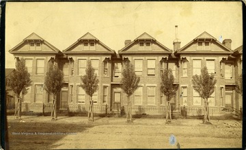 Brick apartment building with a row of young trees in front.