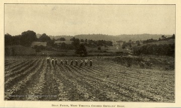 Several boys are working the bean patch at the West Virginia Colored Orphan's Home in Huntington, West Virginia.