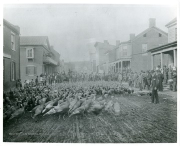Townspeople are watching a Turkey Drive in Lewisburg, West Virginia; 