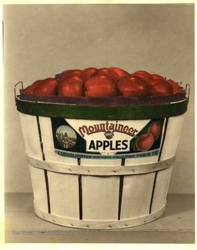 A bushel of Mountaineer Apples which was grown and packed by Consolidated Orchard Company, Paw Paw, West Virginia.