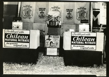 A display of Chilean Natural Nitrate, the genuine original soda.