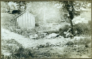 Country scene showing a small creek and a wooden shed in a forest, Martinsburg, W. Va.