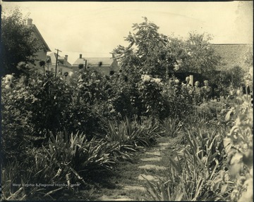 Three people (two women and a man) standing in a flower garden, Martinsburg, W. Va.