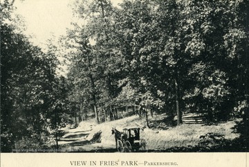 Horse and buggy travel along a path in Fries Park, Parkersburg, West Virginia.