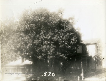 The Fitch House which was located in Morgantown, W. Va., seen here behind a large tree. 