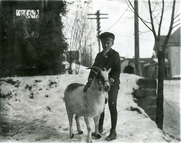 Unidentified boy holda on to a bridled goat, probably a pet.