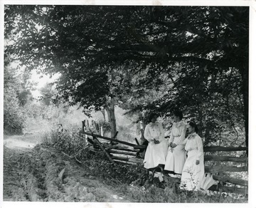 Three women are standing in front of a fence in a wooden area in Morgantown, West Virginia.