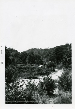 'The location of Volcano, today. In the foreground is the only piece of level ground in the town, and was called the town square. Back in the woods is a short piece of brick sidewalk that was in front of the Golden Horn, and the old road bed of the Laurel Fork and Sand Hill Railroad. This is all that is left of Volcano, a town that once boasted a population of over 4,000.'