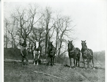 'This fellow might be an oil field worker, but it appears that the horses are harnessed for plowing a field--note the location of device behind horse and furrowed field.'--Mike Naylor, 03/2006