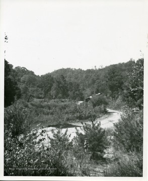 'Deserted site of Volcano in 1953 looking south from large tank.'