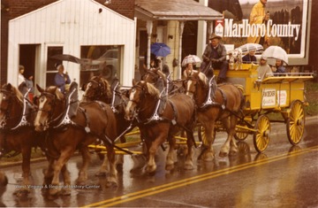 Group of horses pulling a wagon in the Monongalia County Bicentennial Parade. 