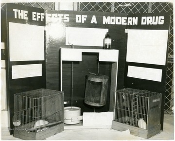 'The Effects of a Modern Drug.'
