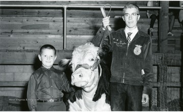 Two members of the Future Farmers of America stand with their cow. 