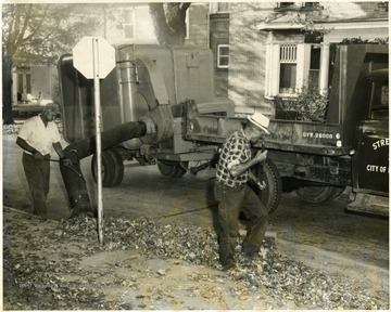 Two men use a large vacuum device to clear leaves on the streets of Morgantown.