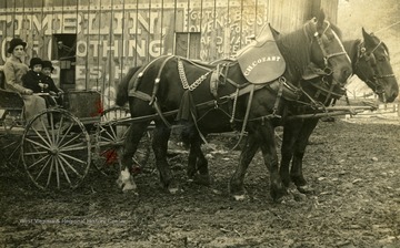 The C.H. Cozart horse team. A lady and two small children are sitting in the wagon.