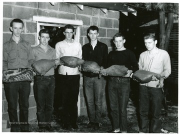 View of members of Future Farmers of America posed holding 'Prize Ham and Bacon' Morgantown, W. Va.
