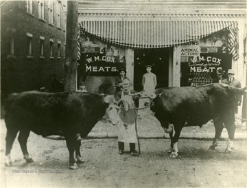 Man standing with two steer in front of the W. M. Cox Meat Market on the northwest corner of Chancery Row and Chestnut Street.