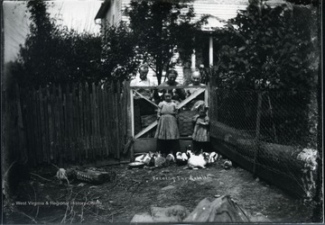 Children feeding rabbits as elders watch in Morgantown, W. Va.