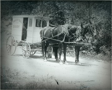 Two horses pulling the Marsh Brothers dairy wagon.