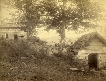 Two men sitting in the shade of a tree to the left of the photograph. Two cattle are seen roaming in the center.