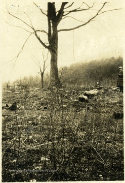 'From here you can see Gauley.  To right is a cellar cavity.  Start at contractor's shack, about three miles from Gauley, follow path through woods.'