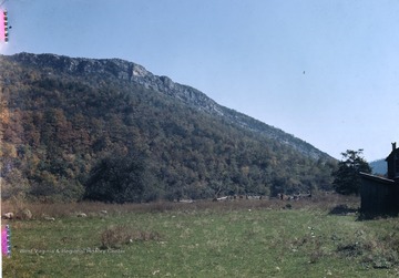 Tuscarora sandstone exposed in Wills Mt. anticline.