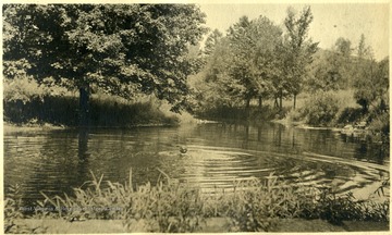 'Here is a July Scene. The ice house is filled with nine-inch ice from this pond.'