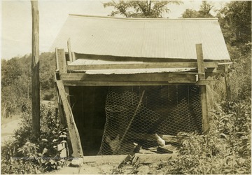 'Poultry house of Mr. W. A. McMurray, Silerton, W. Va. Thiry-five fowls are housed in this 10' x 12' house. The use of galvanized roofing on poultry houses as well as other farm buildings is general throughout the county. It seems to have the preference over paper roofing with the majority of farmers.' From photo album labeled 'Stewart A. Cody, County Agent, Jackson County, 1912.'