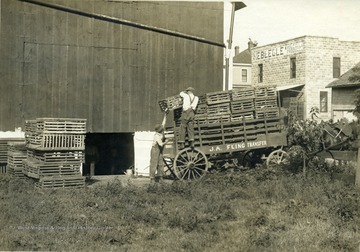 'Loading coops of chickens on wagon preparatory to hauling the car for shipment to Pittsburgh.'  From photo album labeled, 'Stewart A. Cody, County Agent, Jackson County, 1912.'