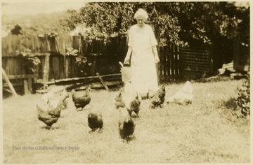 Photograph of May Ballard outside feeding the chickens.