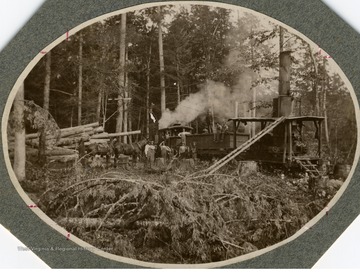 Maben Mill, Raleigh Lumber and Logging Co., Raleigh.  