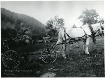 Jenny Dahmer with her Horse and Wagon.