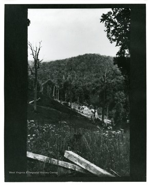 'Cabin in deep valley between Slab Creek and South Fork of Hughes.' The photograph was taken on Monday, July 7, 1884 4-5 pm.