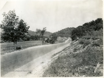 'Ferguson, W. Va.  Camera located in highway, US Route 52, about 1000-ft from Ferguson Station, W. Va., looking north.'