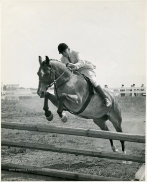 Jockey Brian Lenehan jumps his horse over two wooden bars.