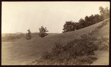 Near Accident Road, Eglon, W.Va.