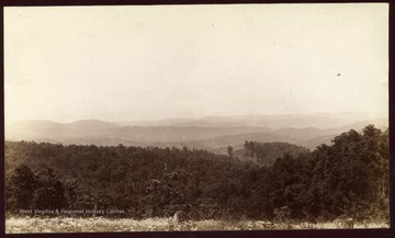 From Stemple Ridge Road.