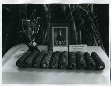 Portrait of George C. Law of Lewis County with his winning ten ears of corn on display at the West Virginia State Corn Show.