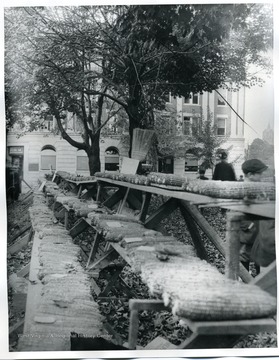 Corn is displayed outside the Citizen's National Bank.