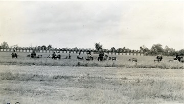 Cadets with backpack, gun and stand spread in a field to practice shooting targets in a distance.